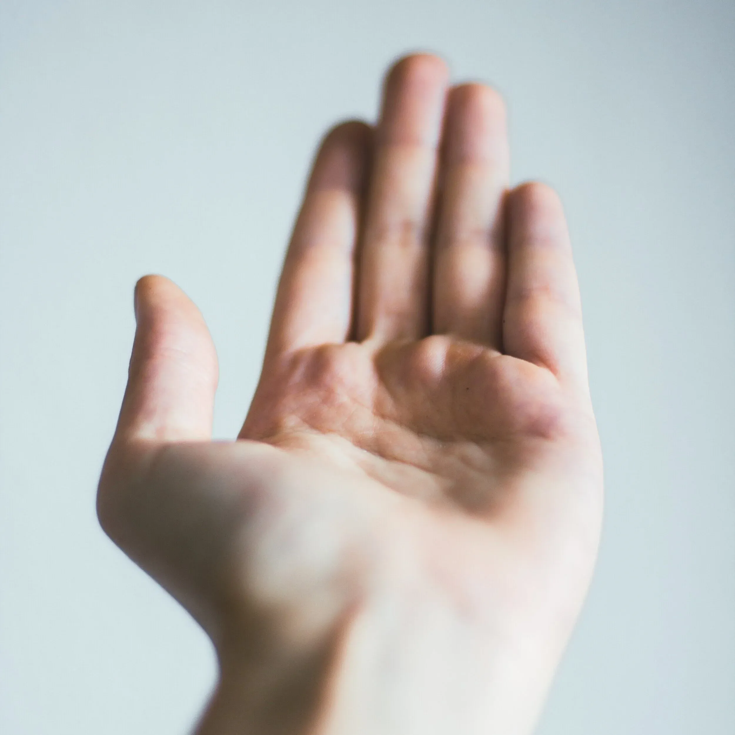 Calorie Counting vs. Portion Control